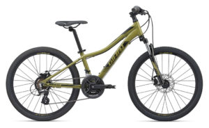 Giant Youth XTC JR Disc 24"